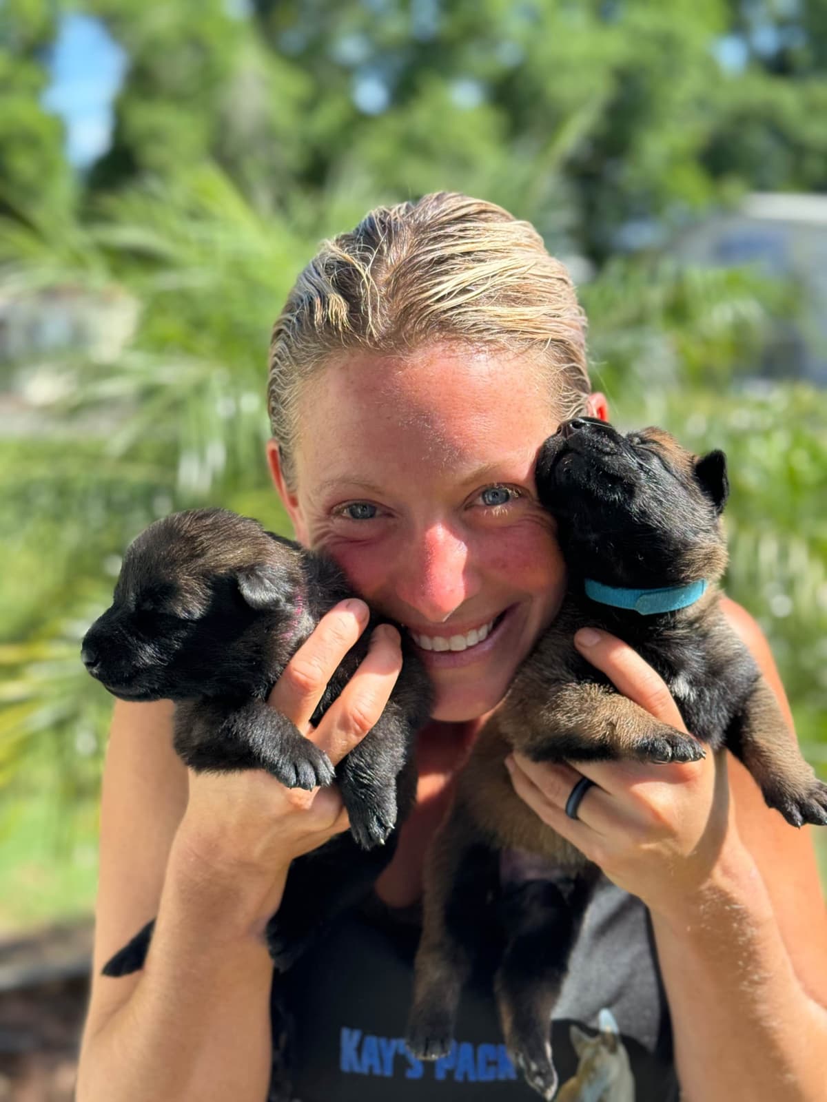 Belgian Malinois Puppies breeder image 24