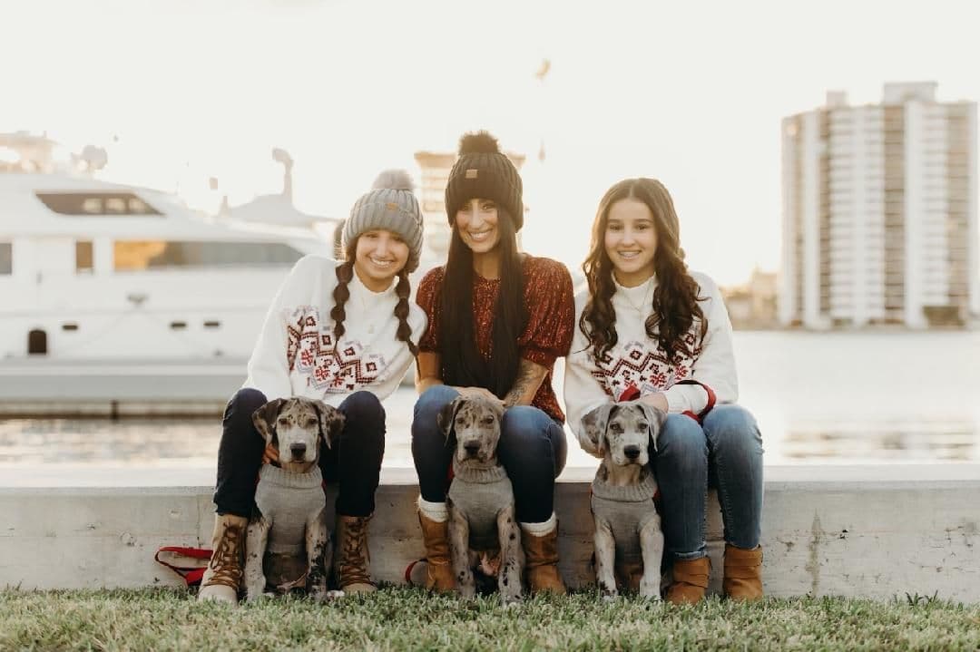 Puppies ready  2 that are  3 mths breeder image 2