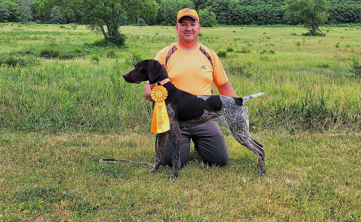 German Shorthaired Pointer Puppies breeder image 2