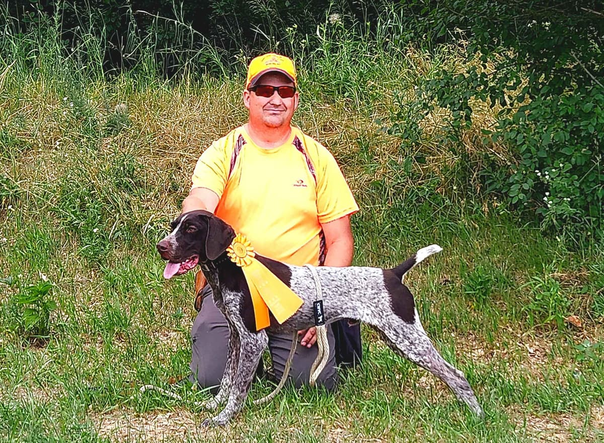 German Shorthaired Pointer Puppies breeder image 3