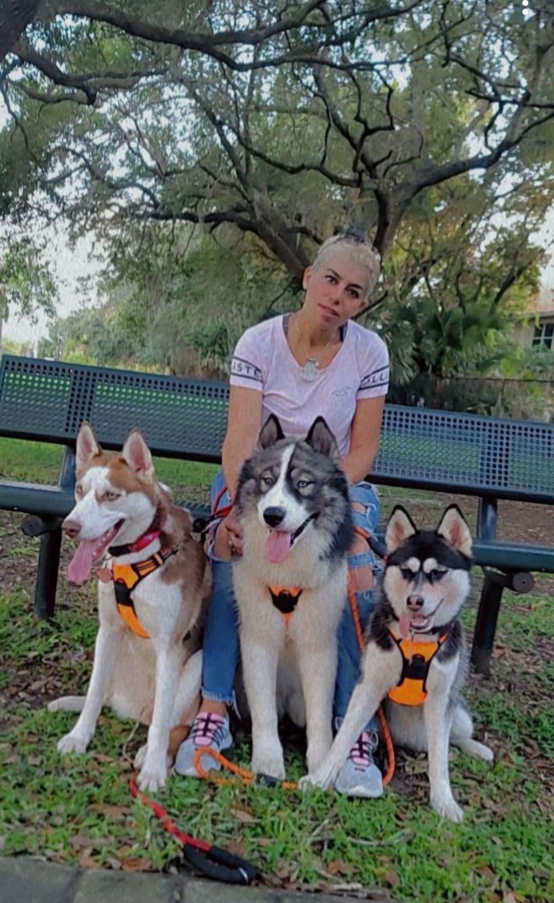 Siberian Husky Puppies breeder image 1