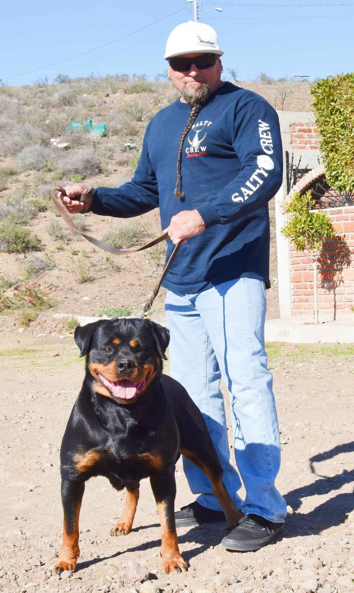 Rottweiler Puppies breeder image 4