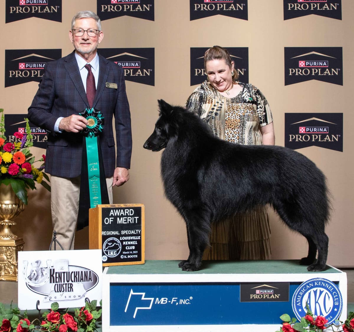 Belgian Sheepdog Puppies breeder image 9