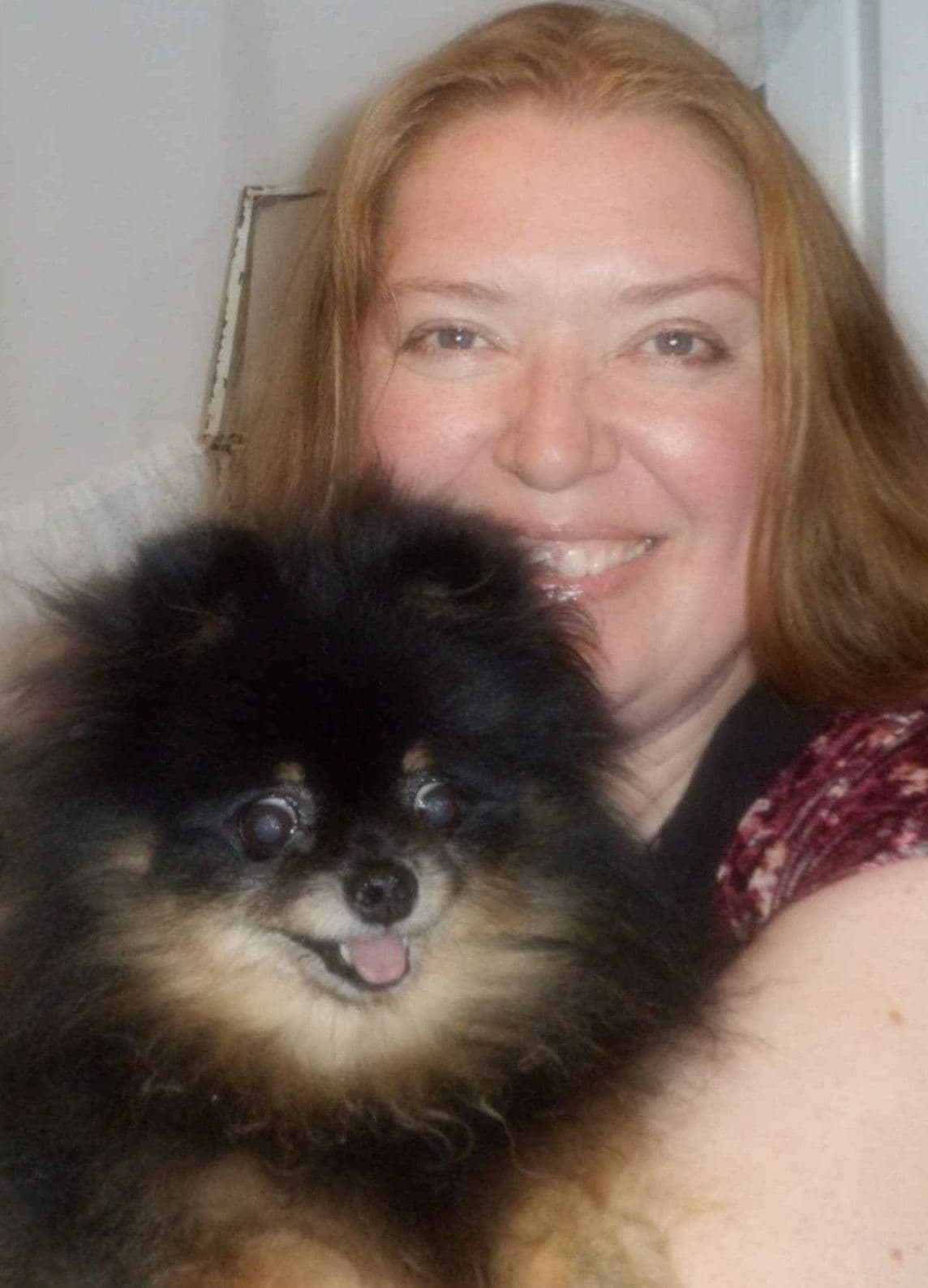 Pomeranian Puppies breeder image 5