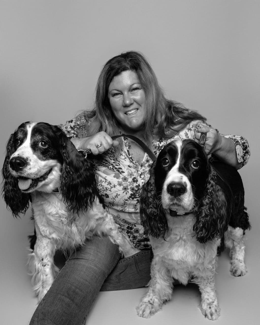 English Springer Spaniel Puppies breeder image 2