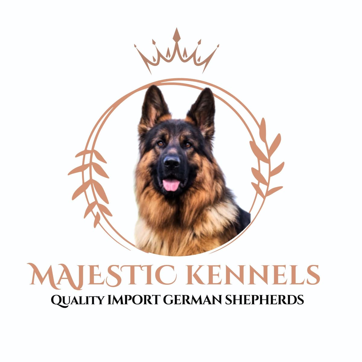 German Shepherd Dog Puppies breeder image 1
