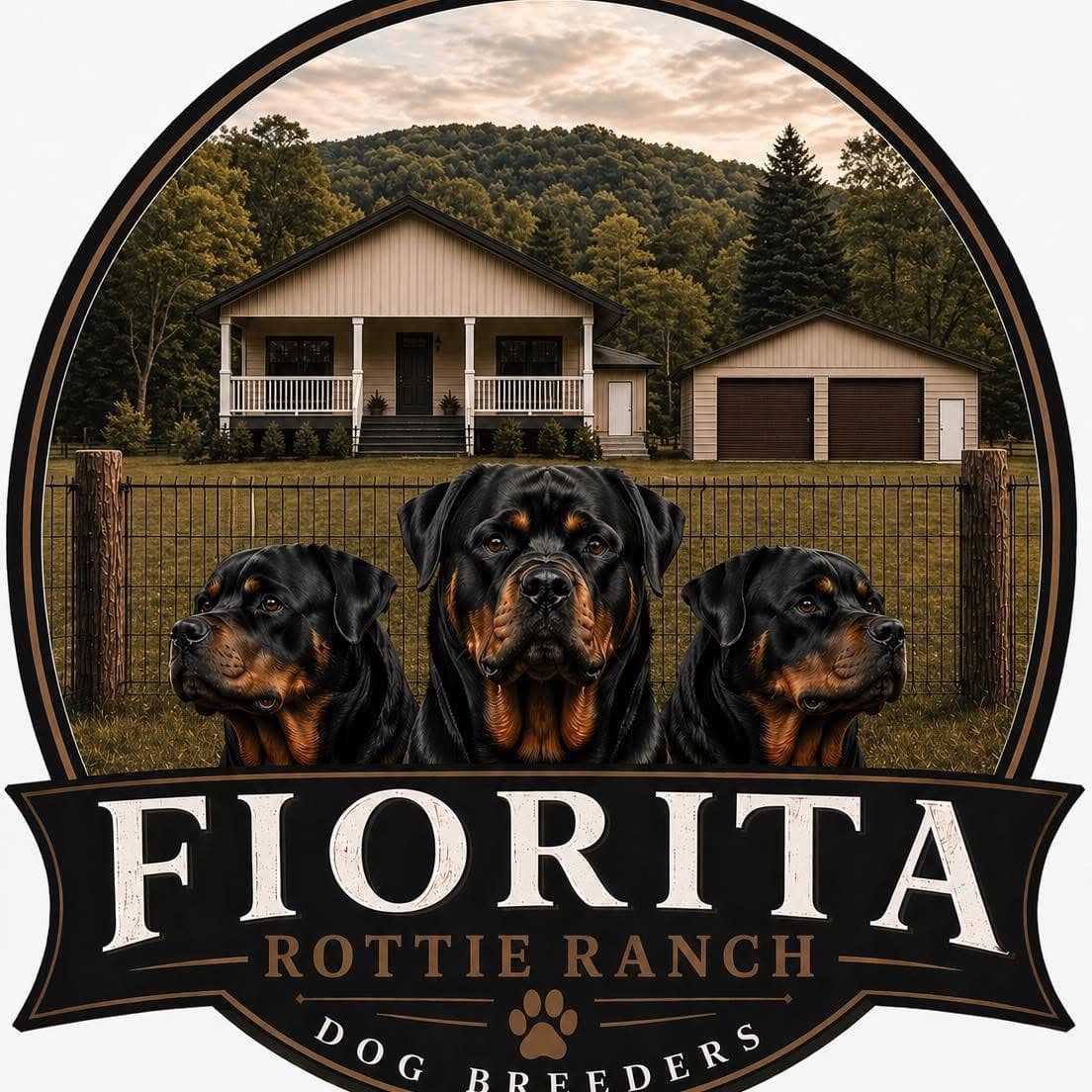 Rottweiler Puppies breeder image 1