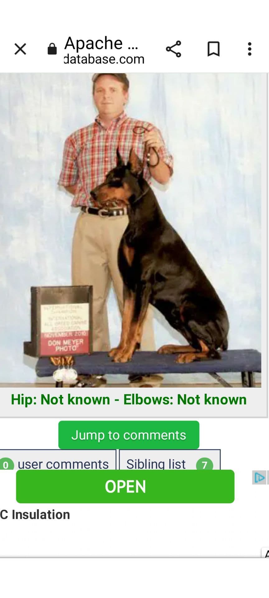 European Doberman Pinscher Puppies breeder image 17