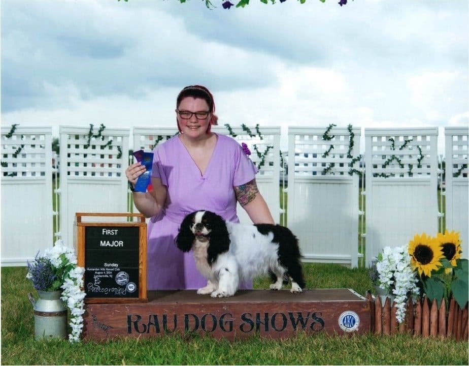 English Toy Spaniel Puppies breeder image 5
