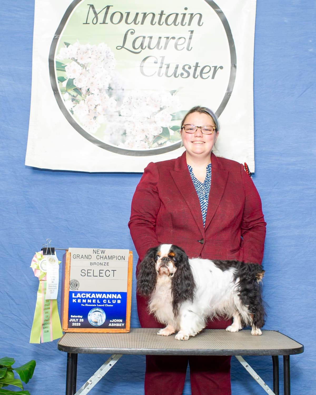 English Toy Spaniel Puppies breeder image 6