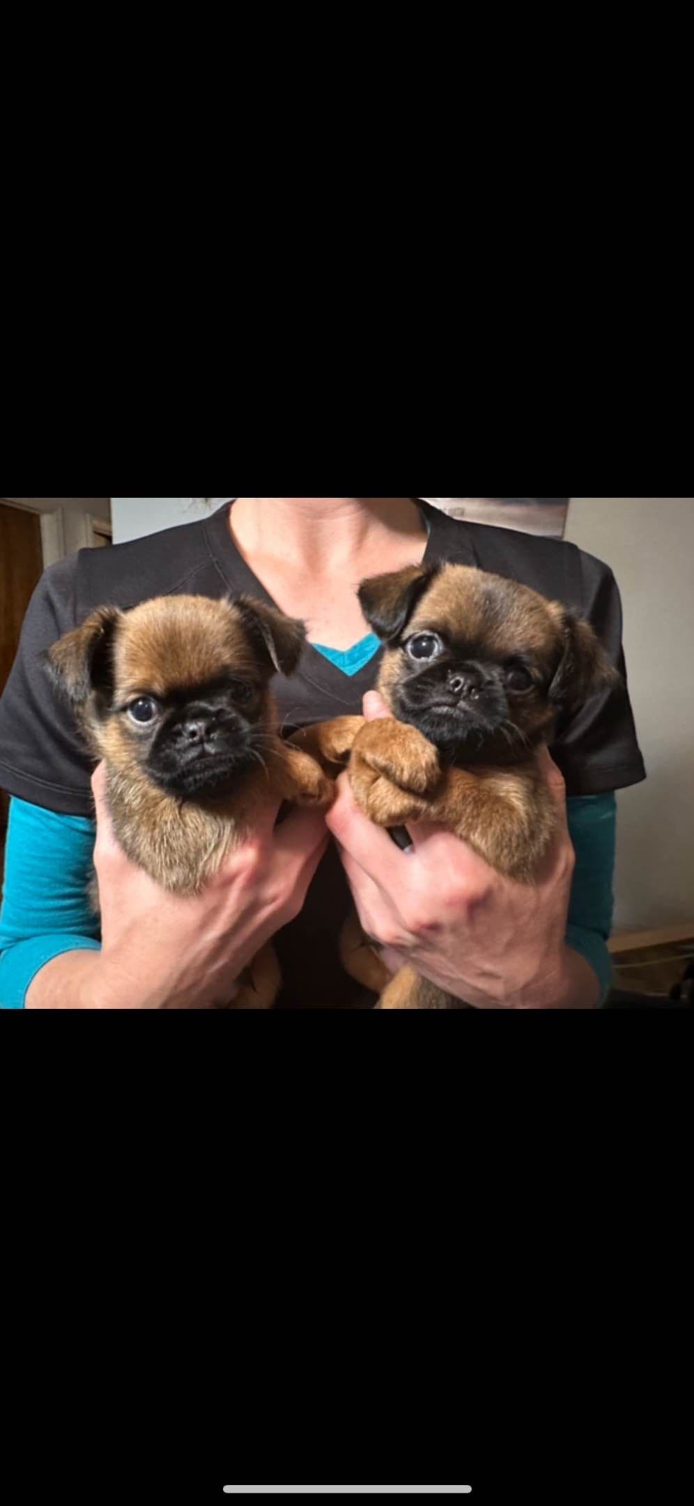 Ready to go!!! breeder image 3