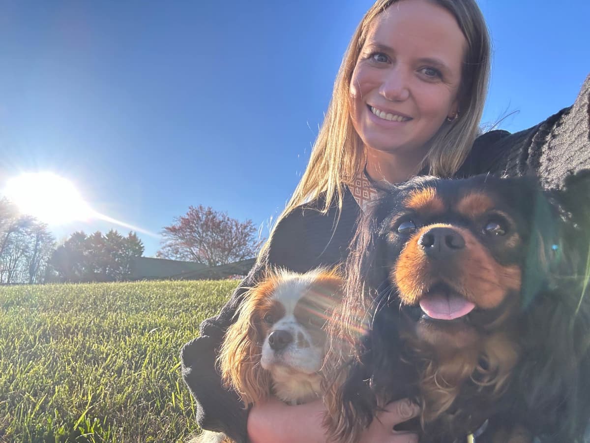 Cavalier King Charles Spaniel Puppies breeder image 3