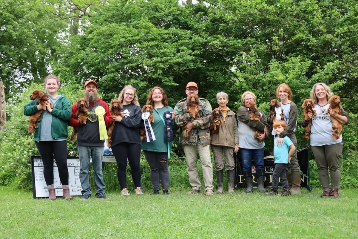 Dachshund Mini Long Pups breeder image 3