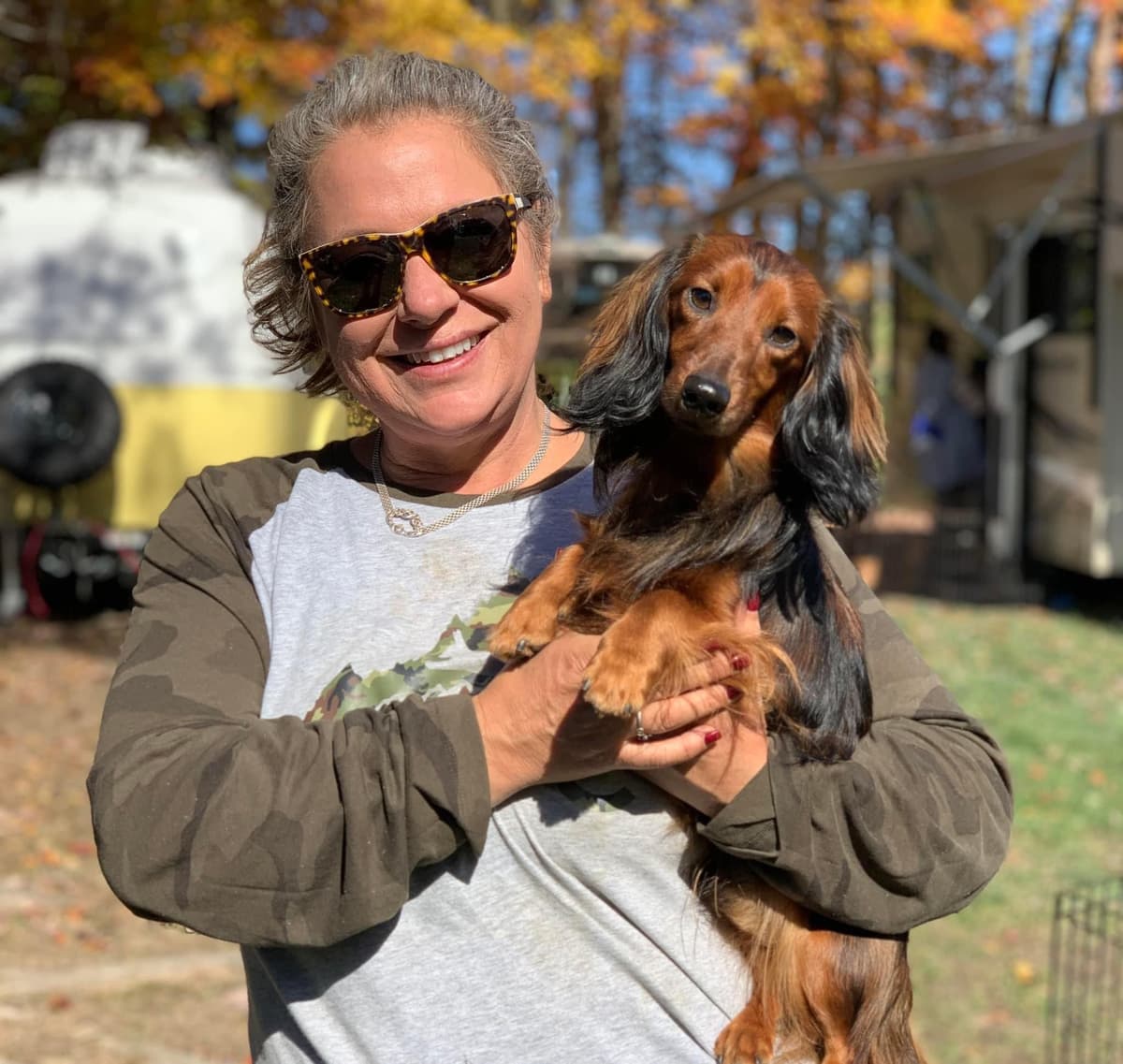 Dachshund Mini Long Pups breeder image 18