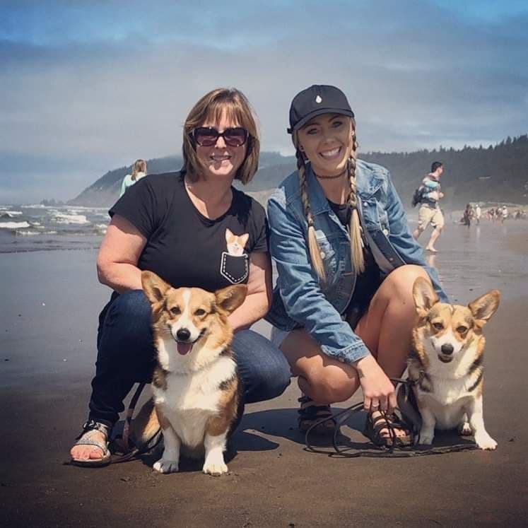 Pembroke Welsh Corgi Puppies breeder image 1