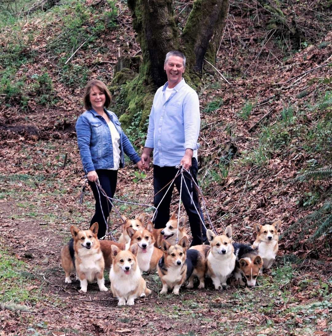 Pembroke Welsh Corgi Puppies breeder image 3