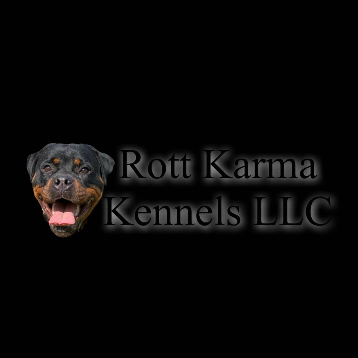 Rottweiler Puppies breeder image 1