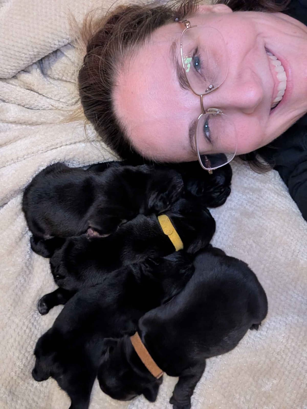 French Bulldog Puppies breeder image 11