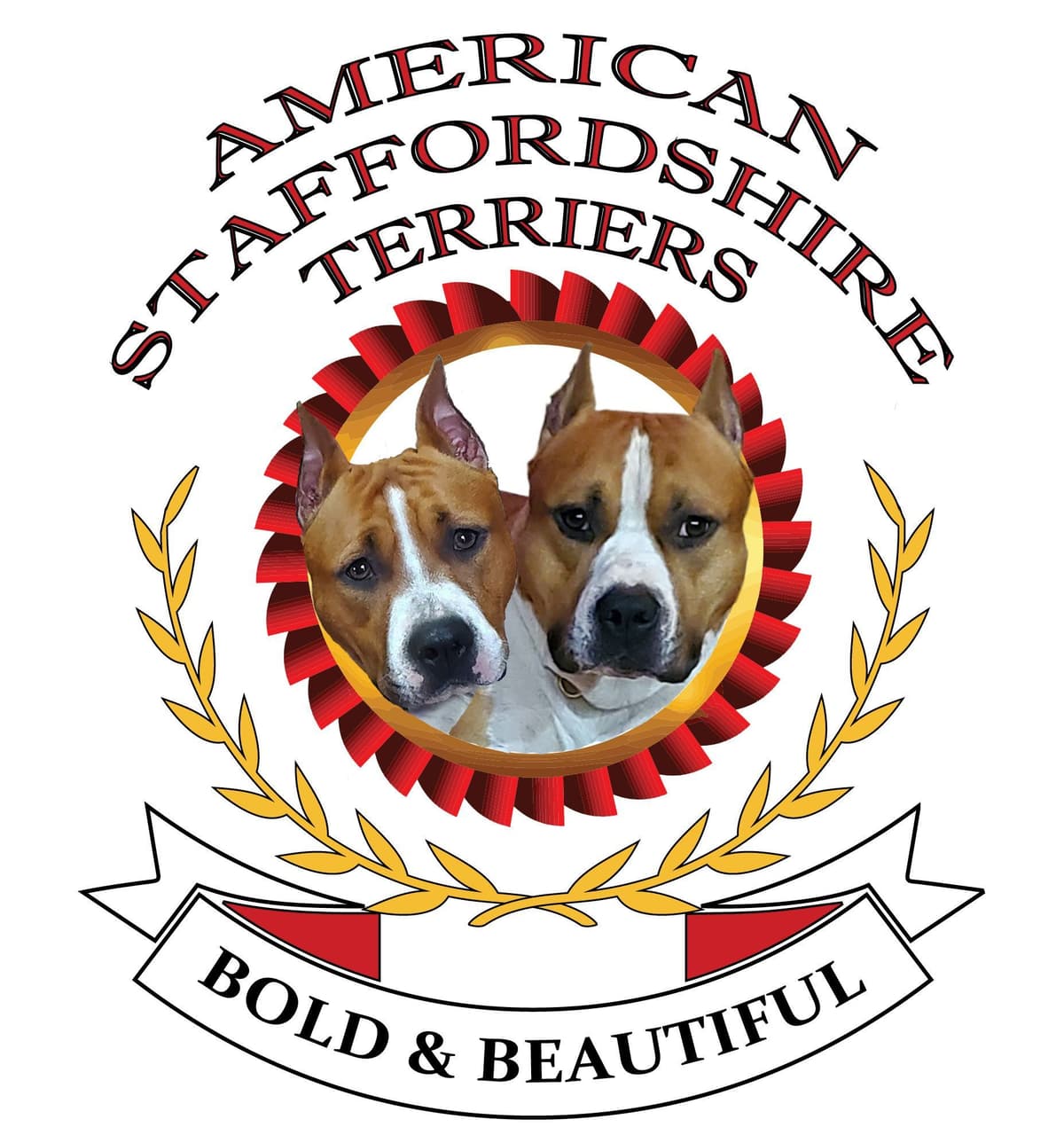 American Staffordshire Terrier Puppy breeder image 1