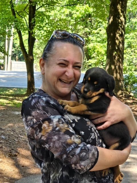 Rottweiler Puppies media 14