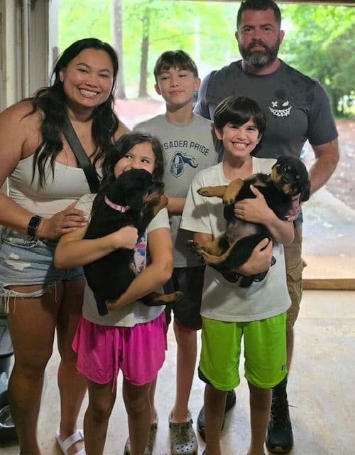 Rottweiler Puppies media 13