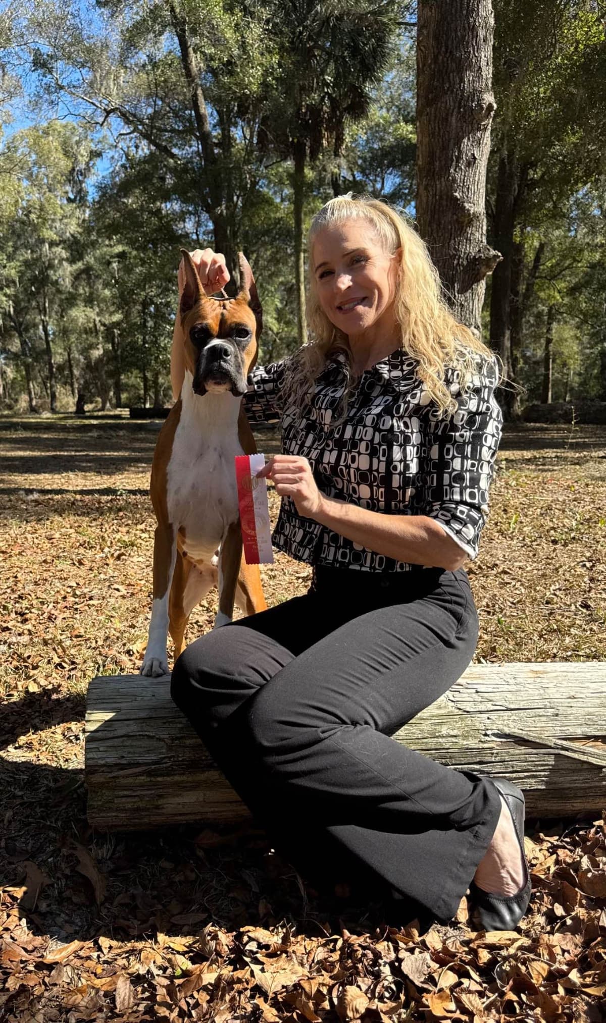 Boxer Puppies breeder image 16