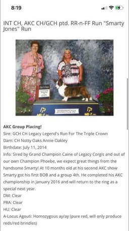 Leather & Lace Corgis, & Coons