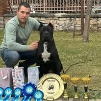 Import Line Cane Corso Puppies breeder image 1