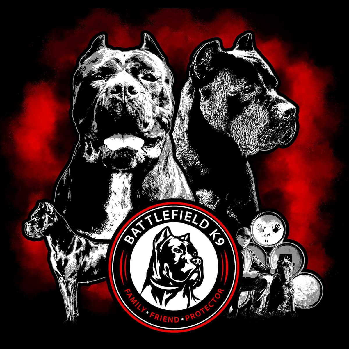 Import Line Cane Corso Puppies breeder image 6