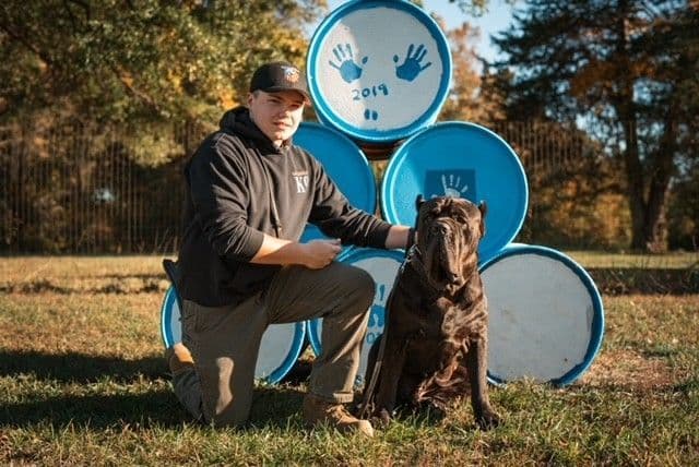 Import Line Cane Corso Puppies breeder image 7