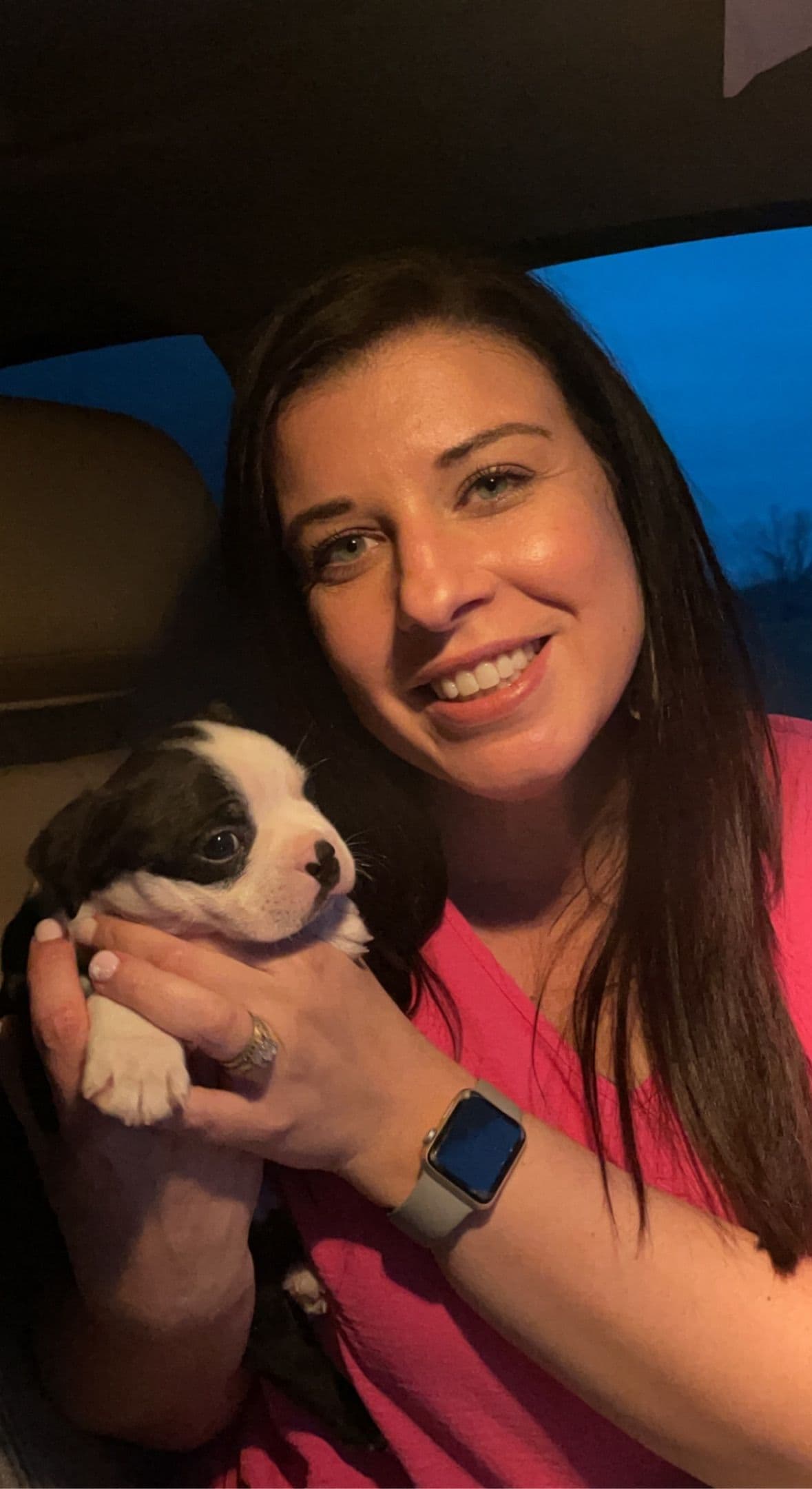 Boston Terrier Puppies breeder image 1