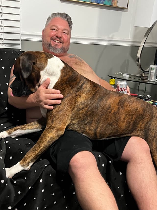 Boxer Puppies media 6