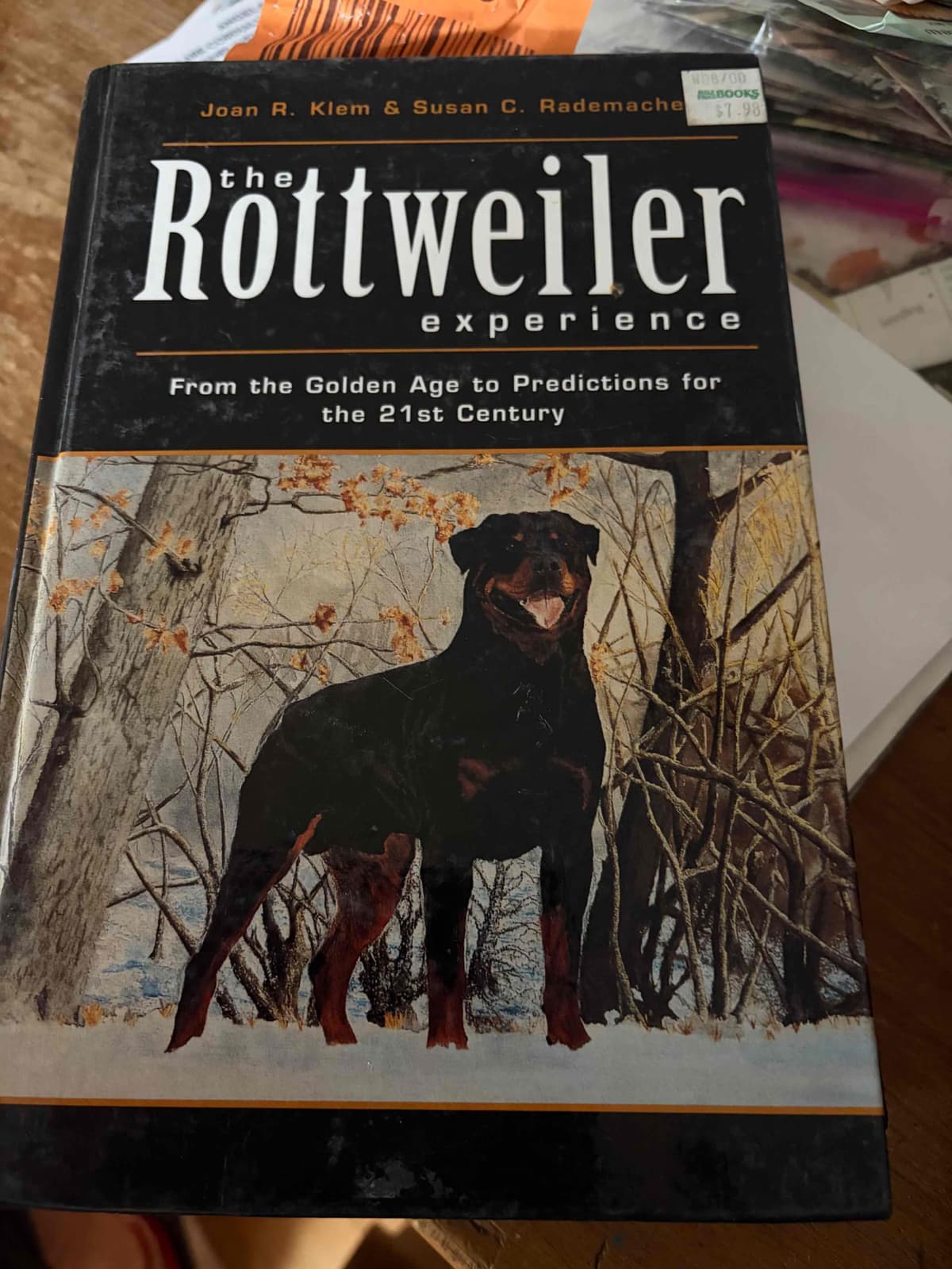 Rottweiler Puppies sired by titled German Import breeder image 1