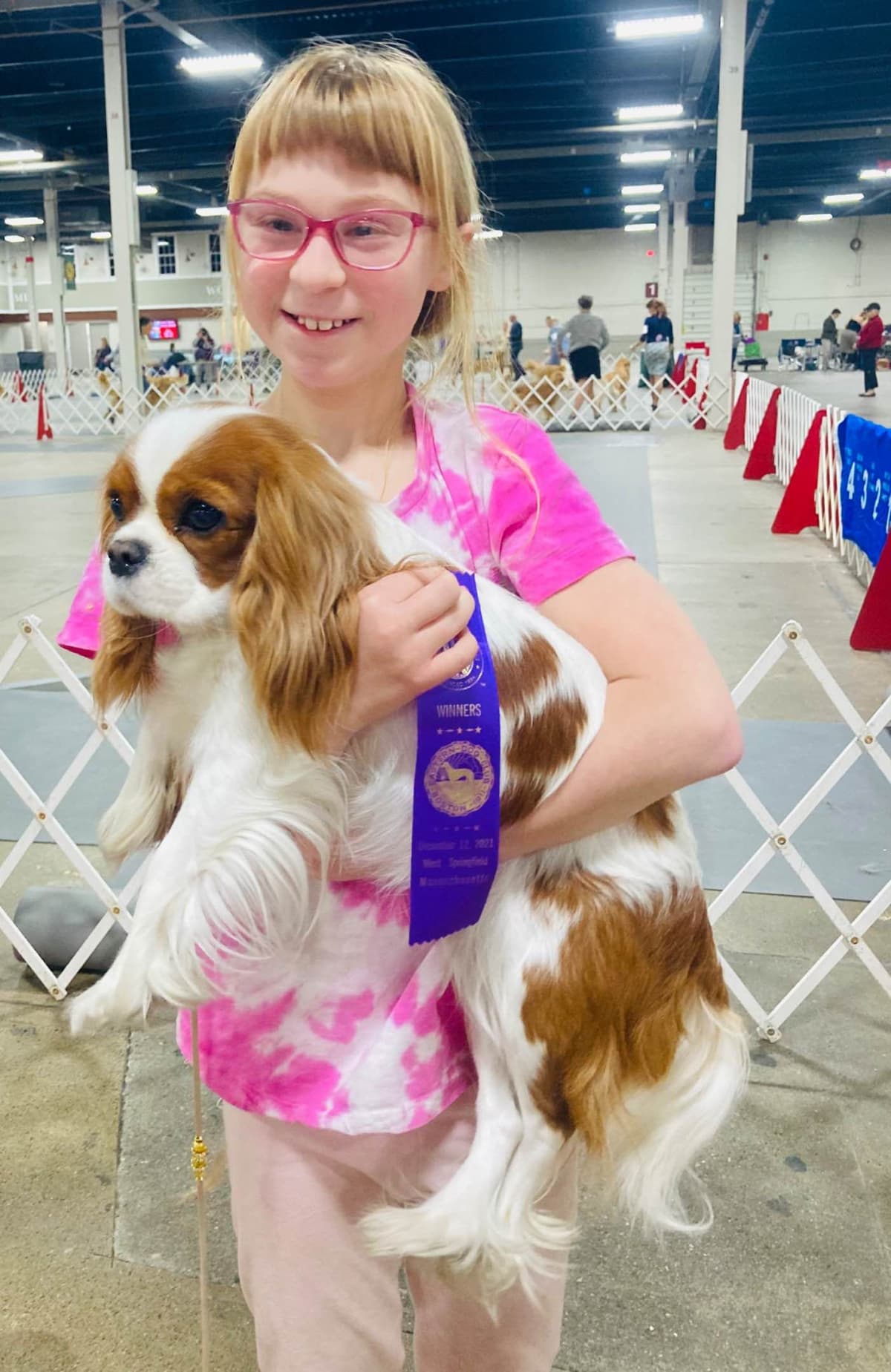 Cavalier King Charles Spaniel Puppies breeder image 17