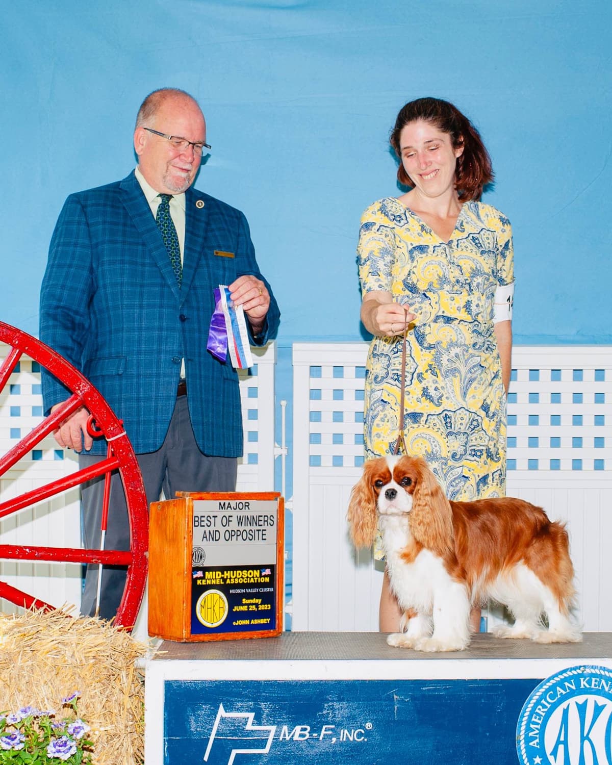 Cavalier King Charles Spaniel Puppies breeder image 18