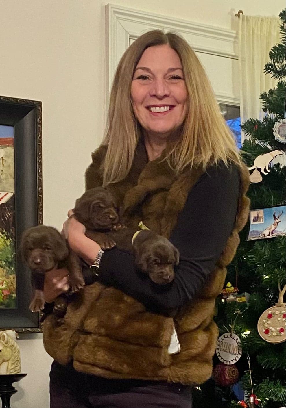 Labrador Retriever Puppies - Sold out!!!!!! breeder image 3