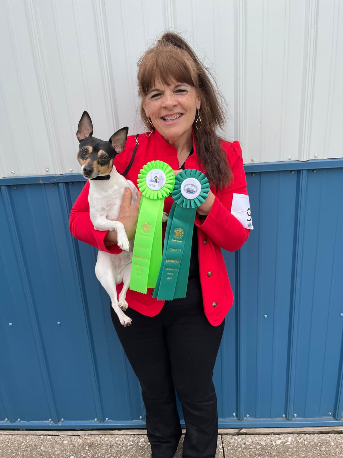 Toy Fox Terrier Puppies breeder image 11