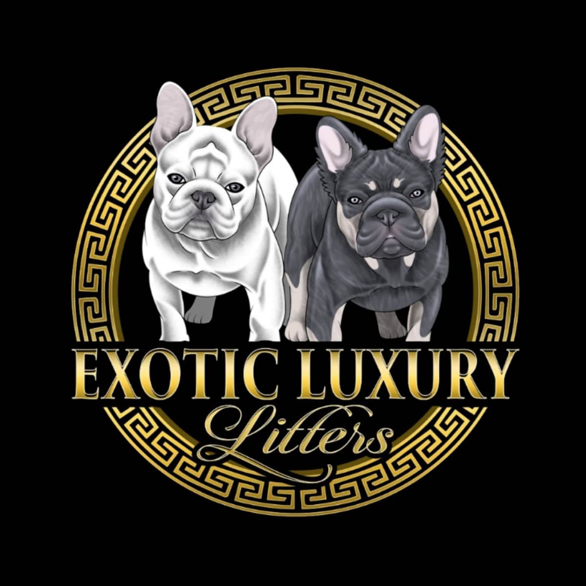 French Bulldog Puppies breeder image 3