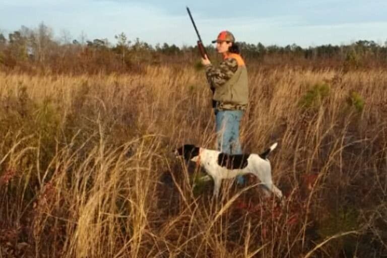 Wirehaired Pointing Griffon Puppies breeder image 3