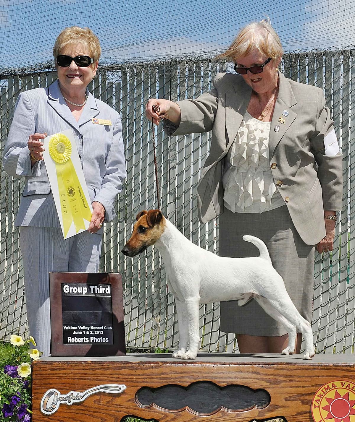 Smooth Fox Terrier Puppies breeder image 25
