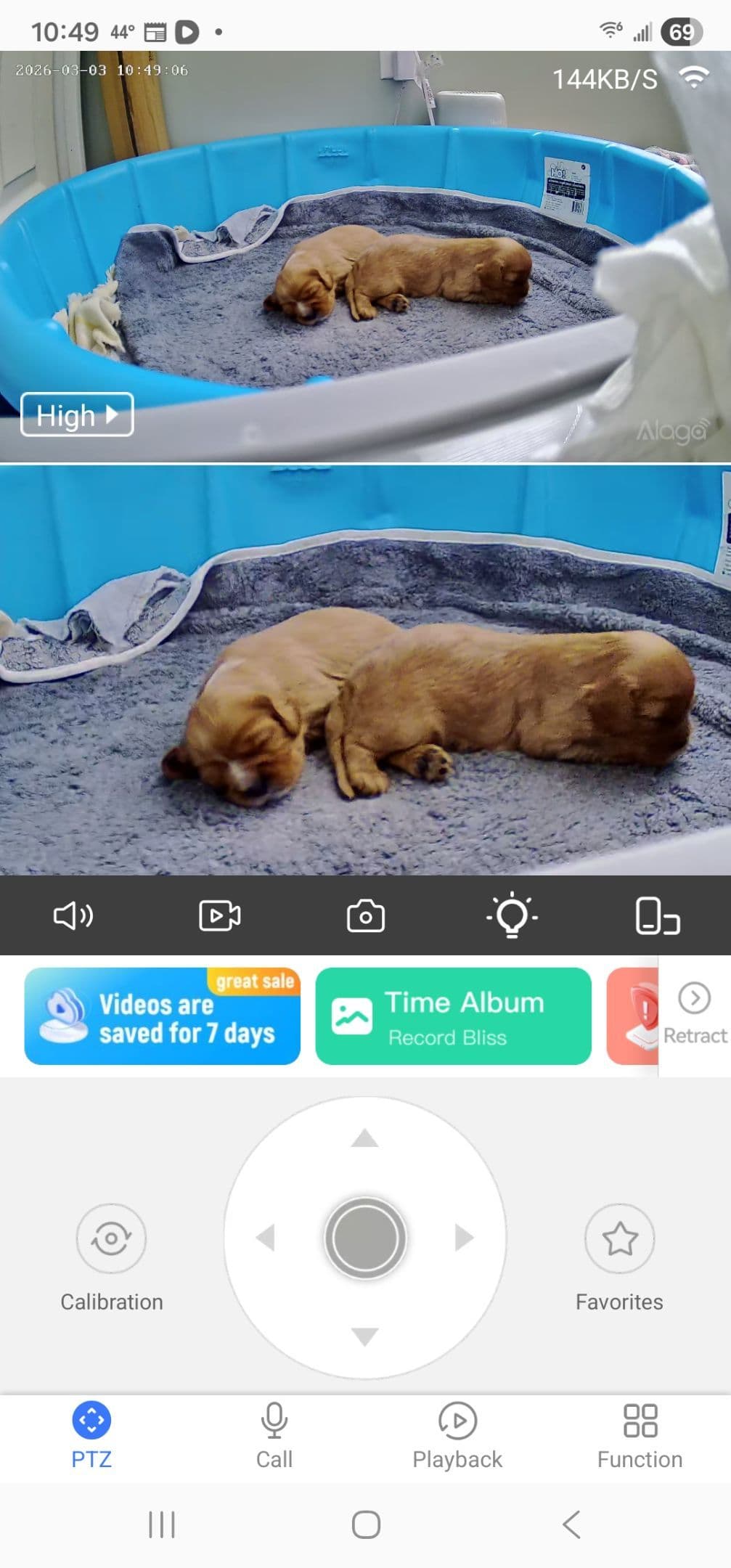 Cavalier King Charles Spaniel Puppies breeder image 6