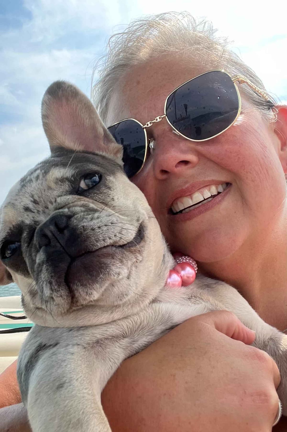 French Bulldog Puppies breeder image 1