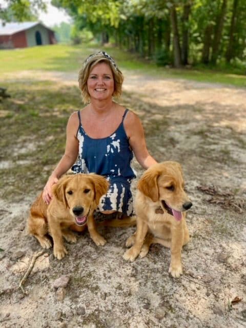 Golden Retriever Puppies media 4