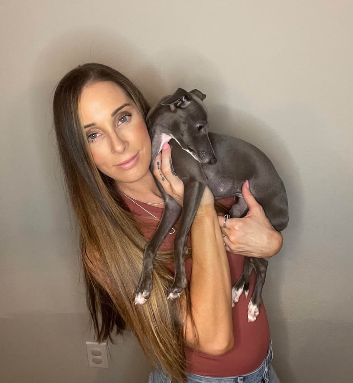 Italian Greyhound Puppies breeder image 1