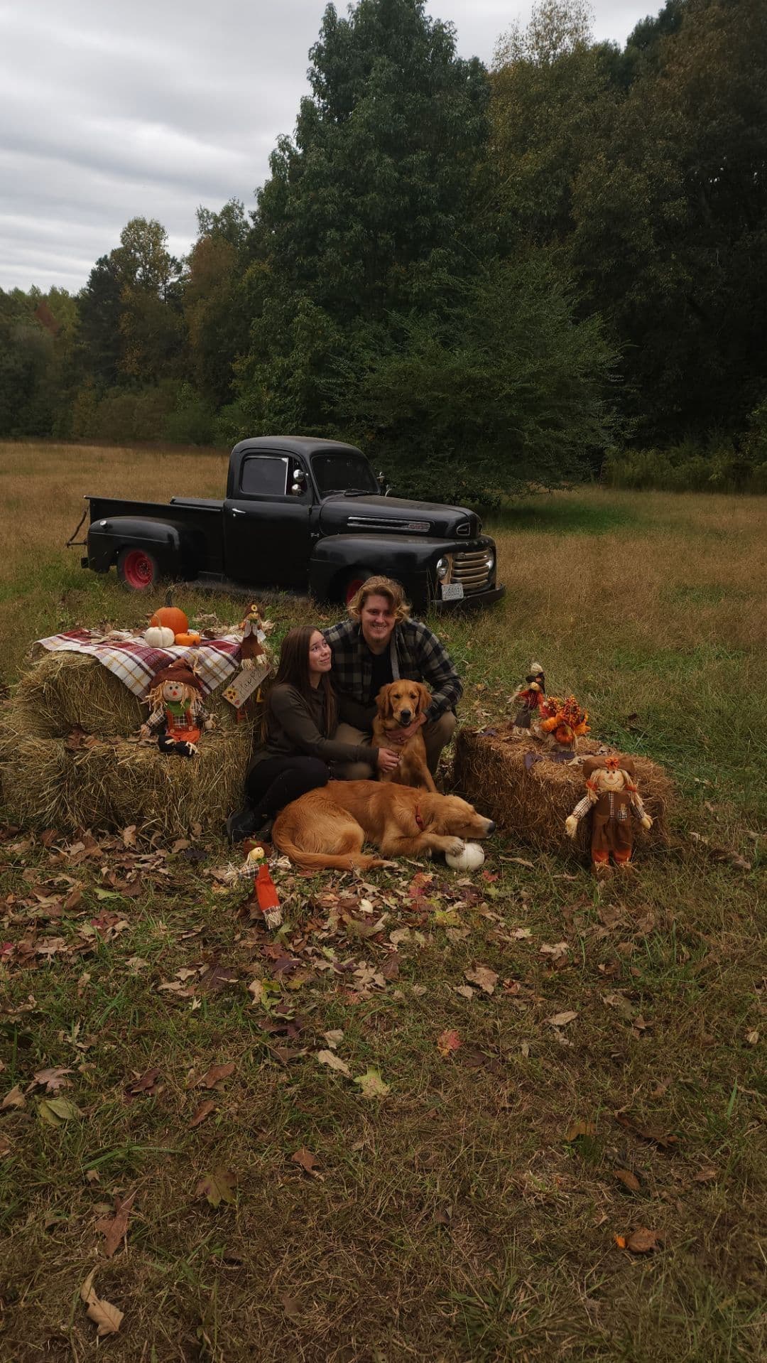 Golden Retriever Puppies breeder image 20