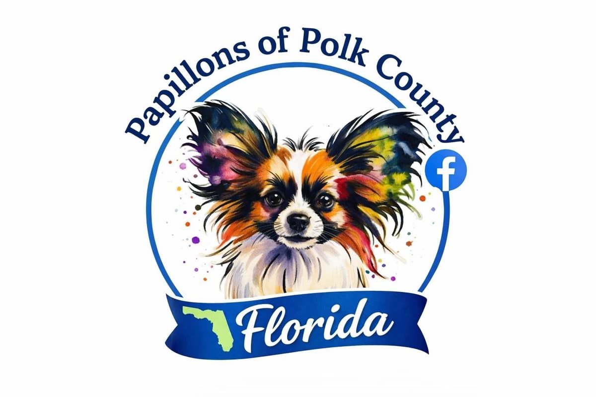 Papillon Puppies breeder image 1