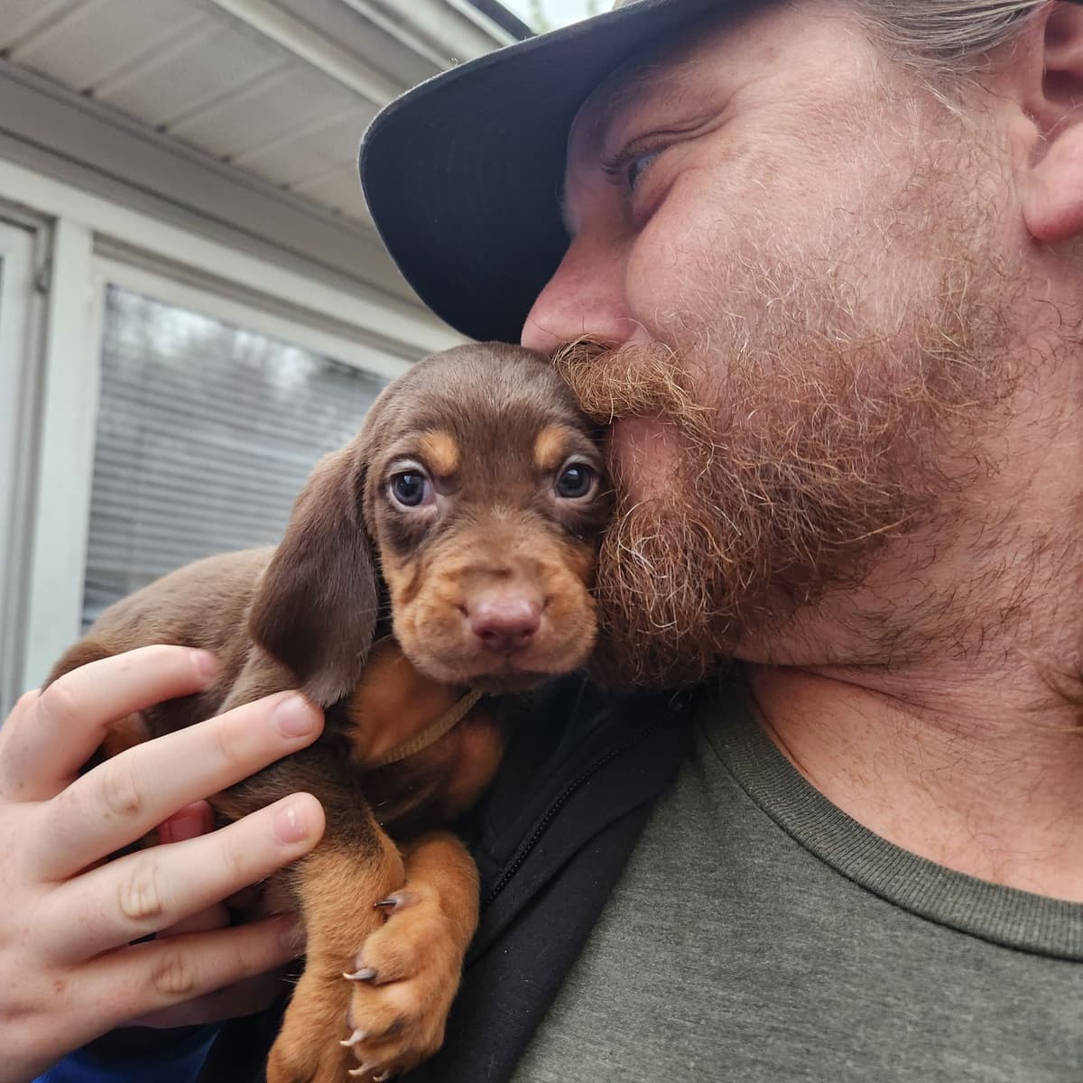 Bloodhound Puppies breeder image 1