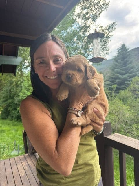 Golden Retriever Puppies breeder image 1