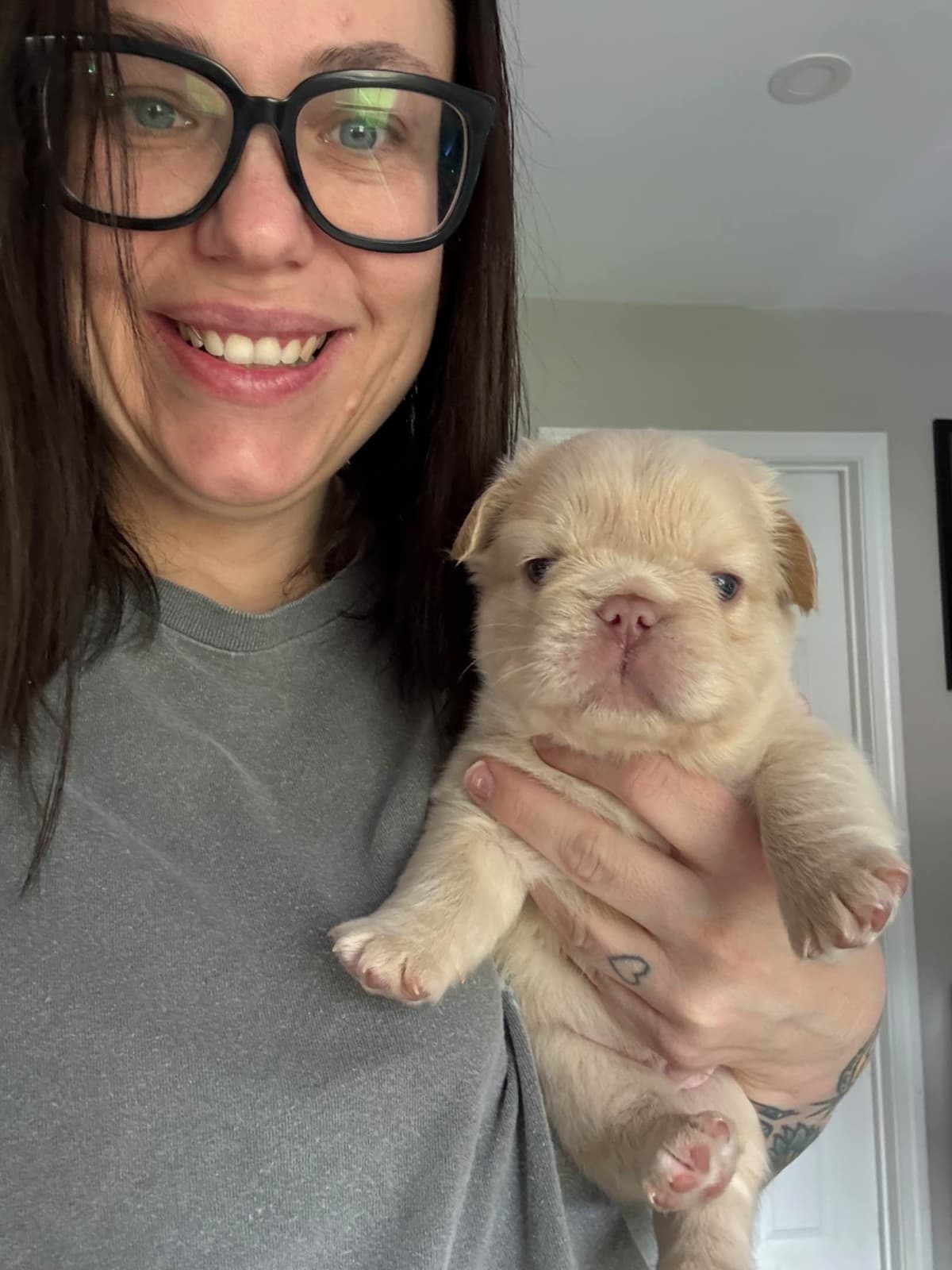 French Bulldog Puppies breeder image 2
