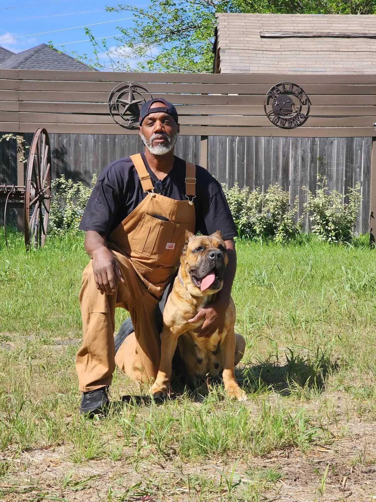 Cane Corso Puppies breeder image 18